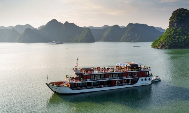 Orchid Premium Cruises